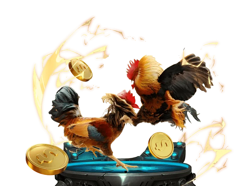 Tỷ lệ cược đá gà cạnh tranh 999ok game